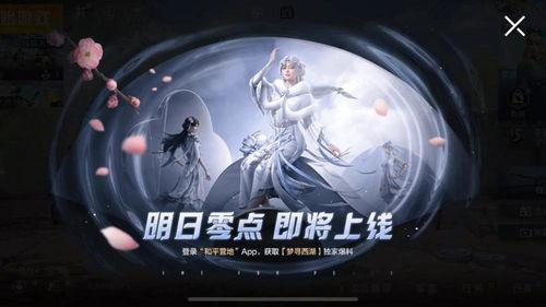 夜凯最新爆料视频大全集,揭秘娱乐圈幕后真相  第2张